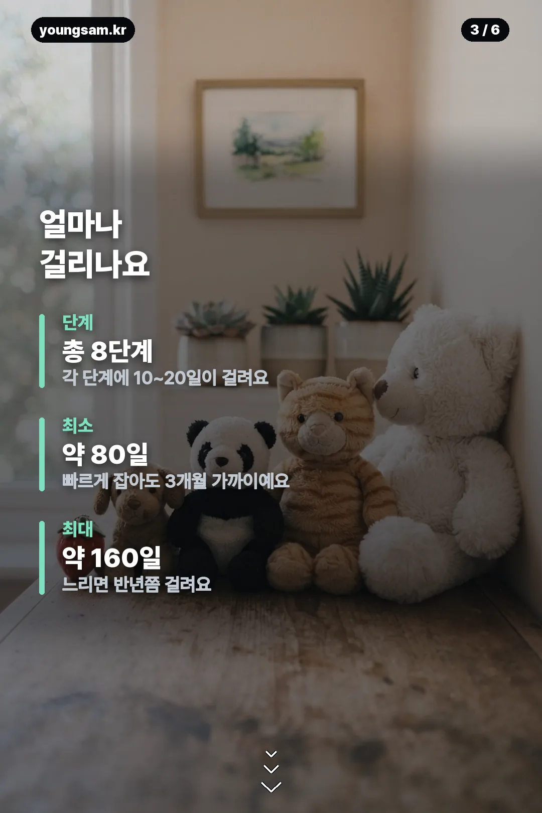 썸원 반려몽 성장 카드뉴스 3