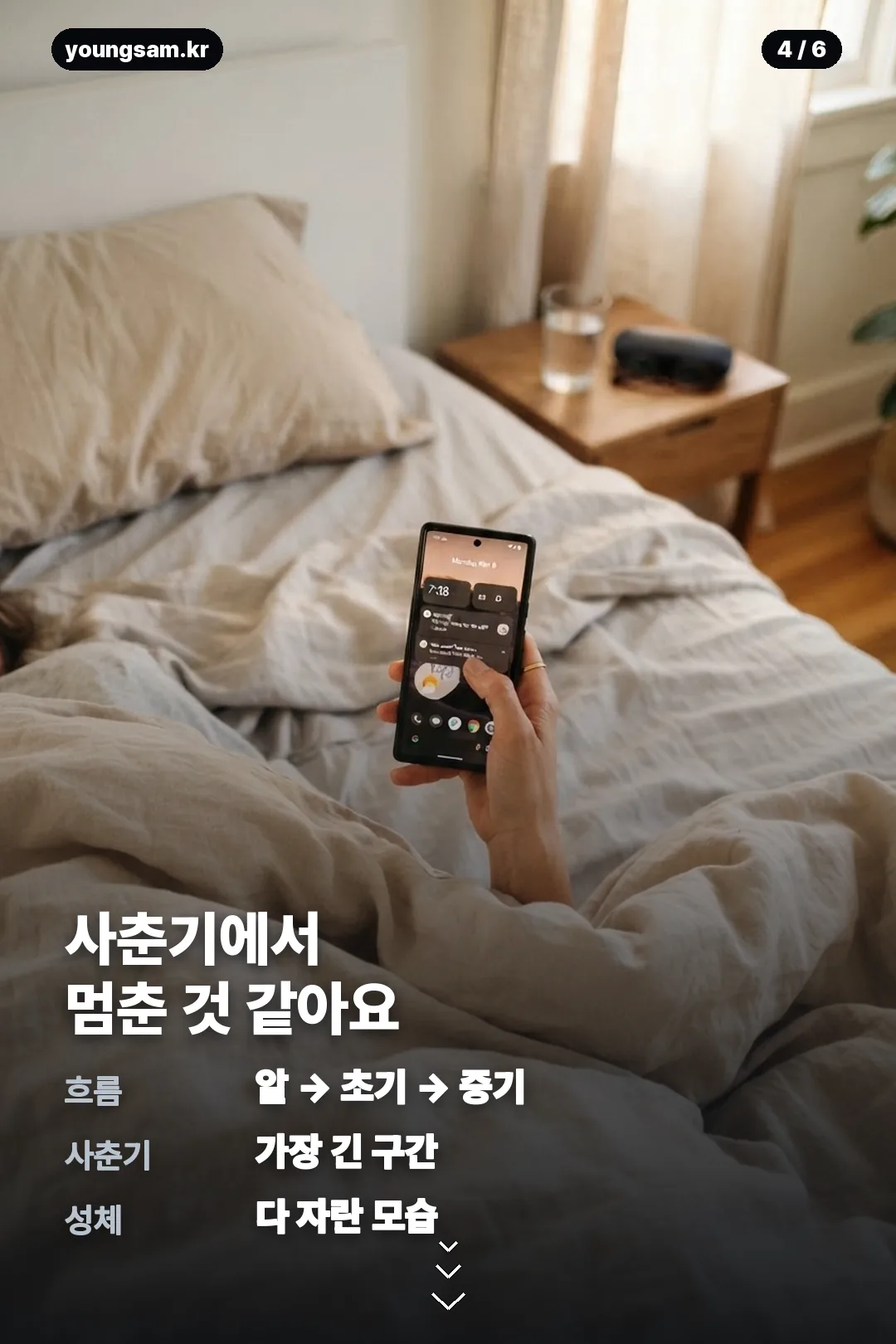 썸원 반려몽 성장 카드뉴스 4