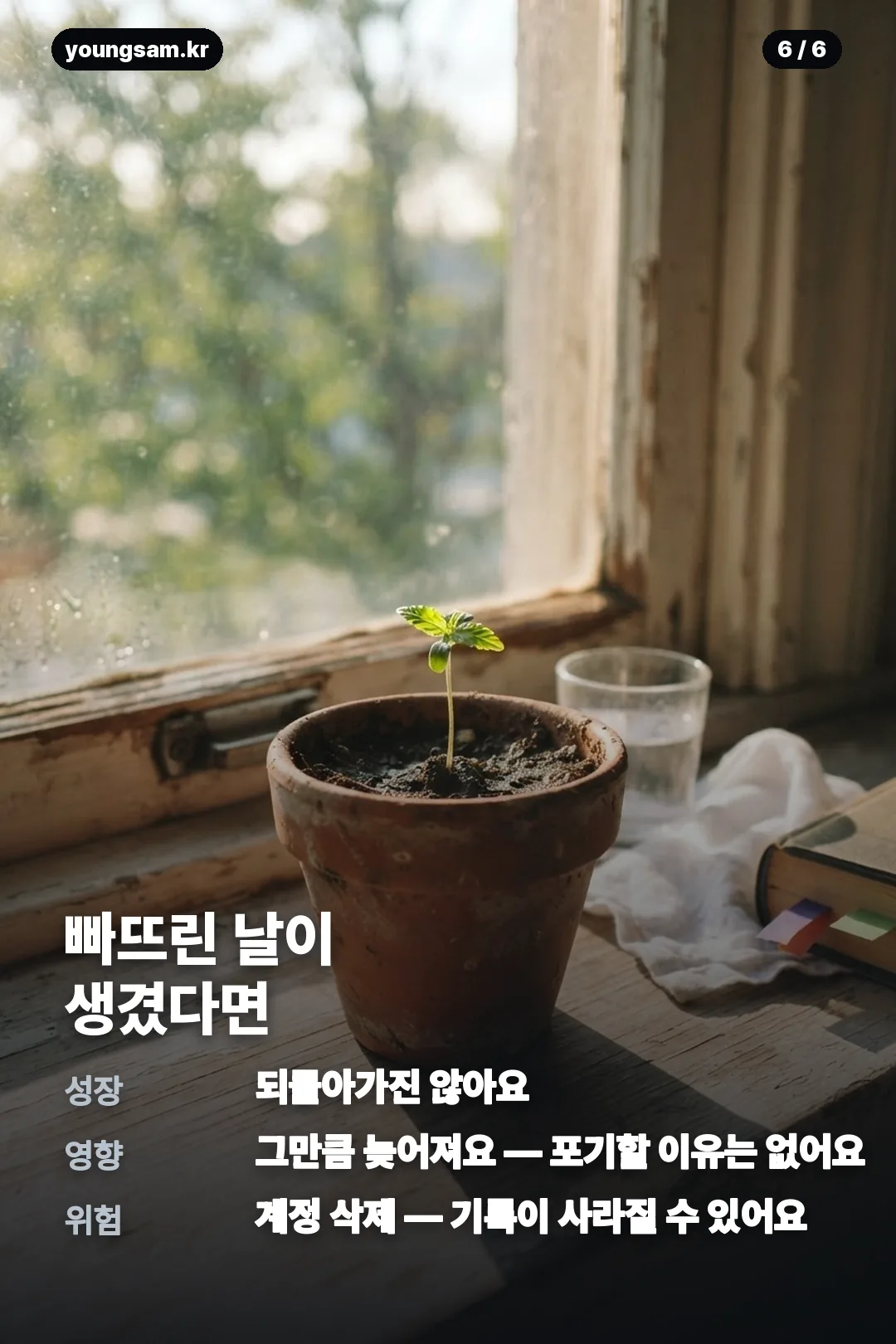 썸원 반려몽 성장 카드뉴스 6