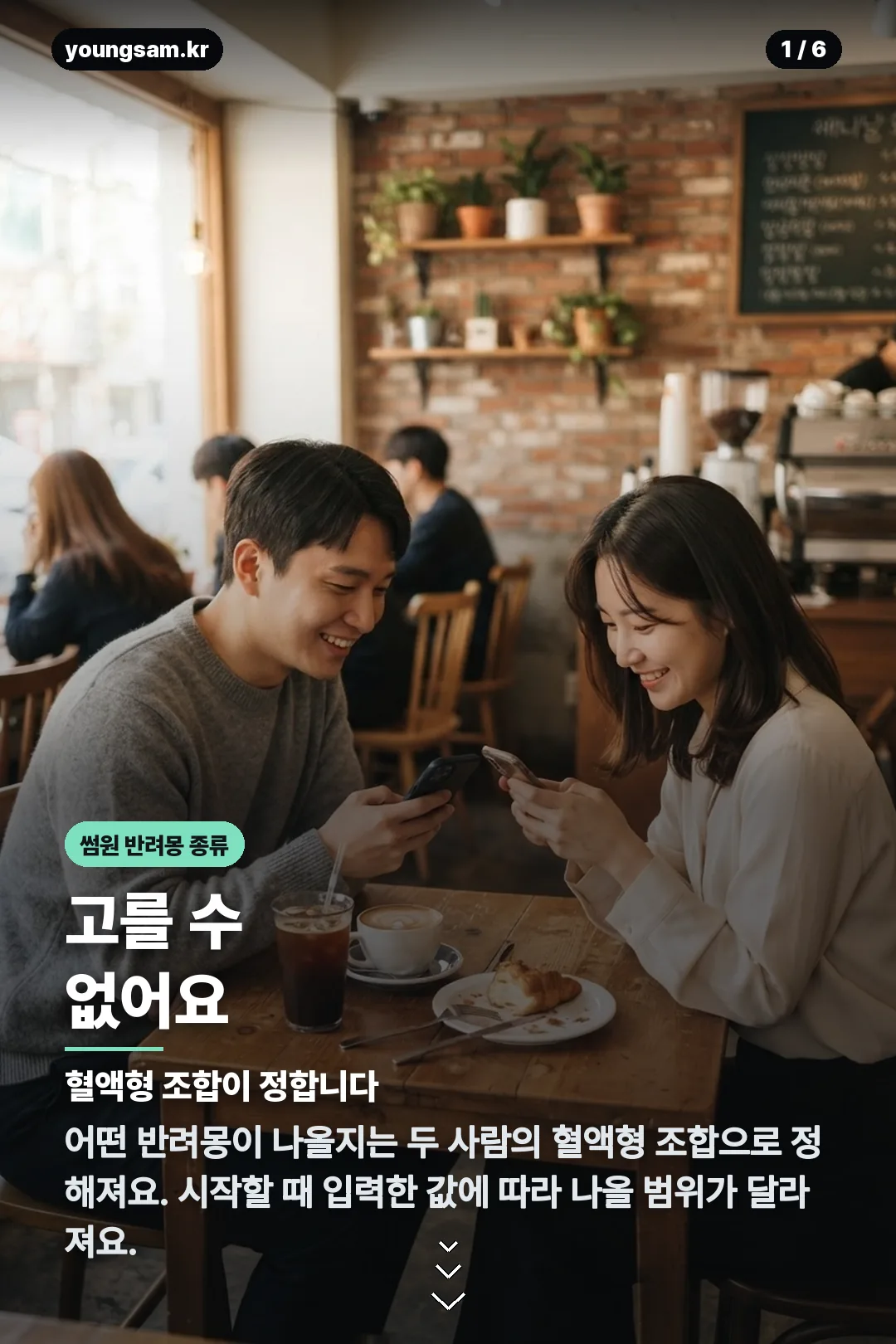 썸원 반려몽 종류 카드뉴스 1
