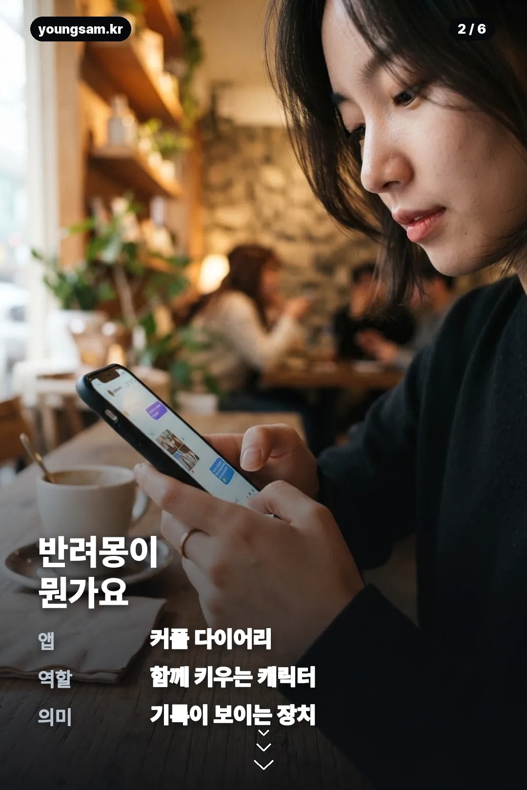 썸원 반려몽 종류 카드뉴스 2