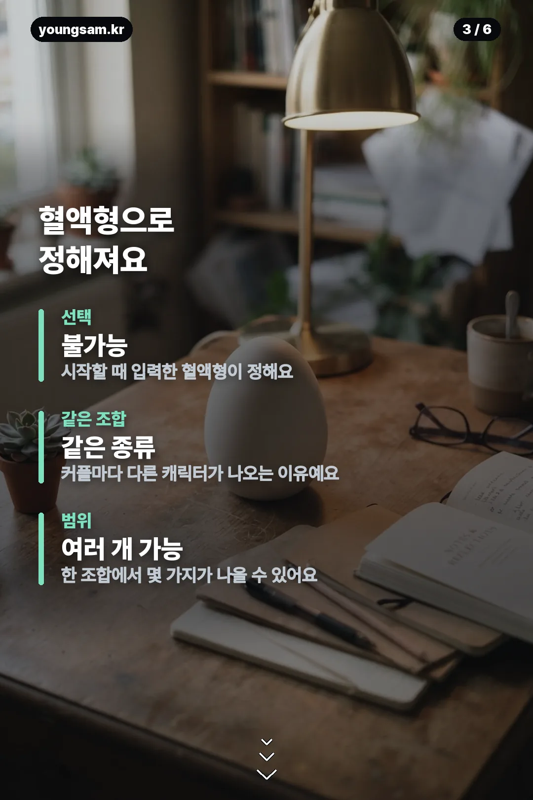 썸원 반려몽 종류 카드뉴스 3