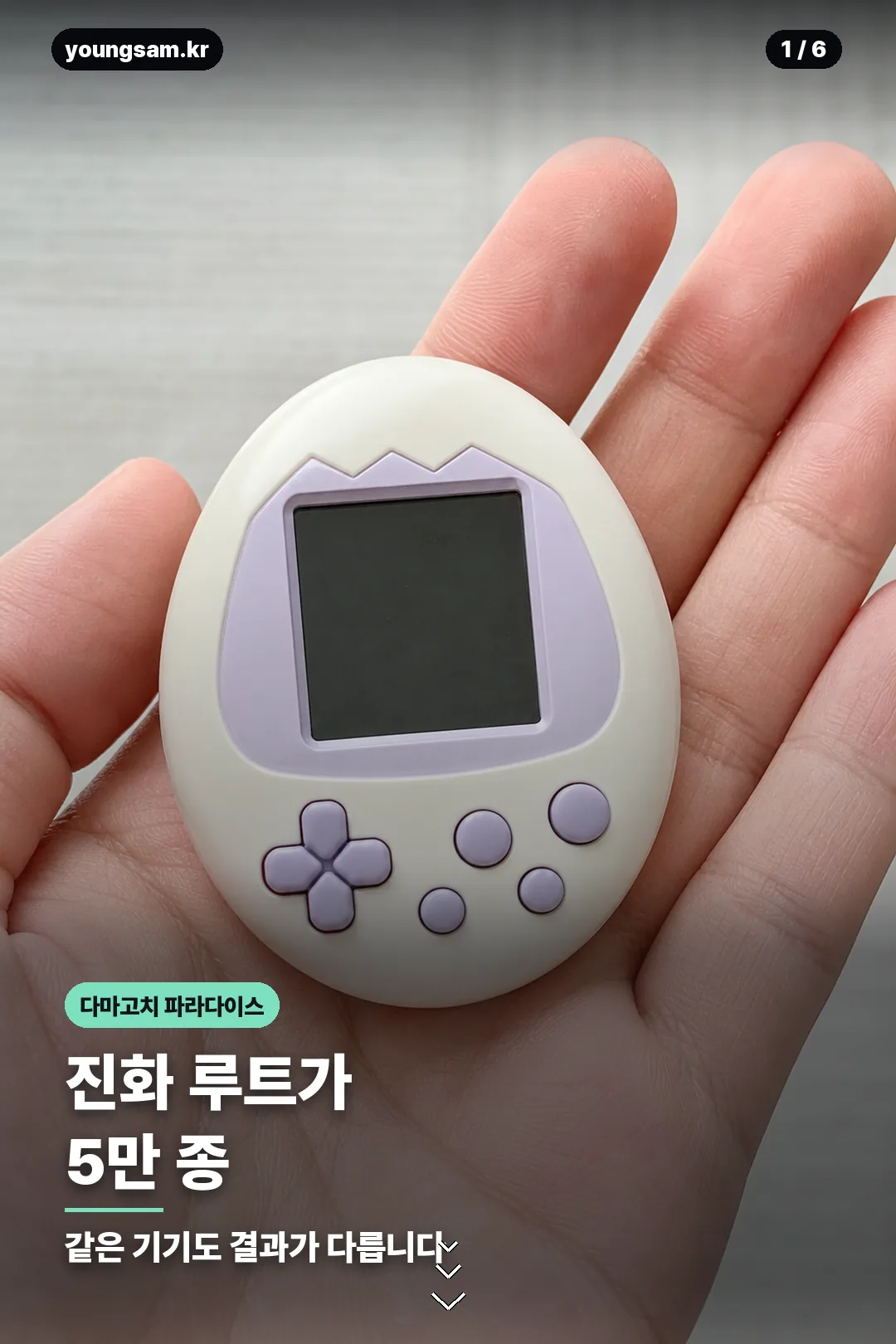 다마고치 파라다이스 기기 정보 카드 1