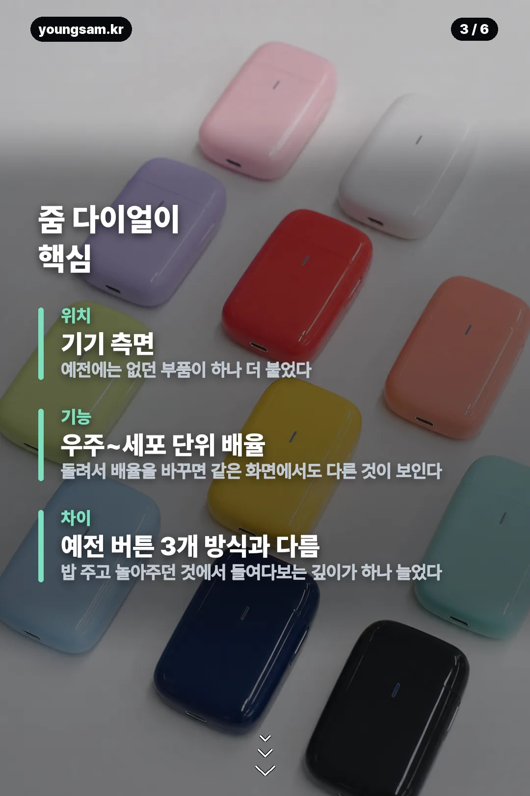 다마고치 파라다이스 기기 정보 카드 3
