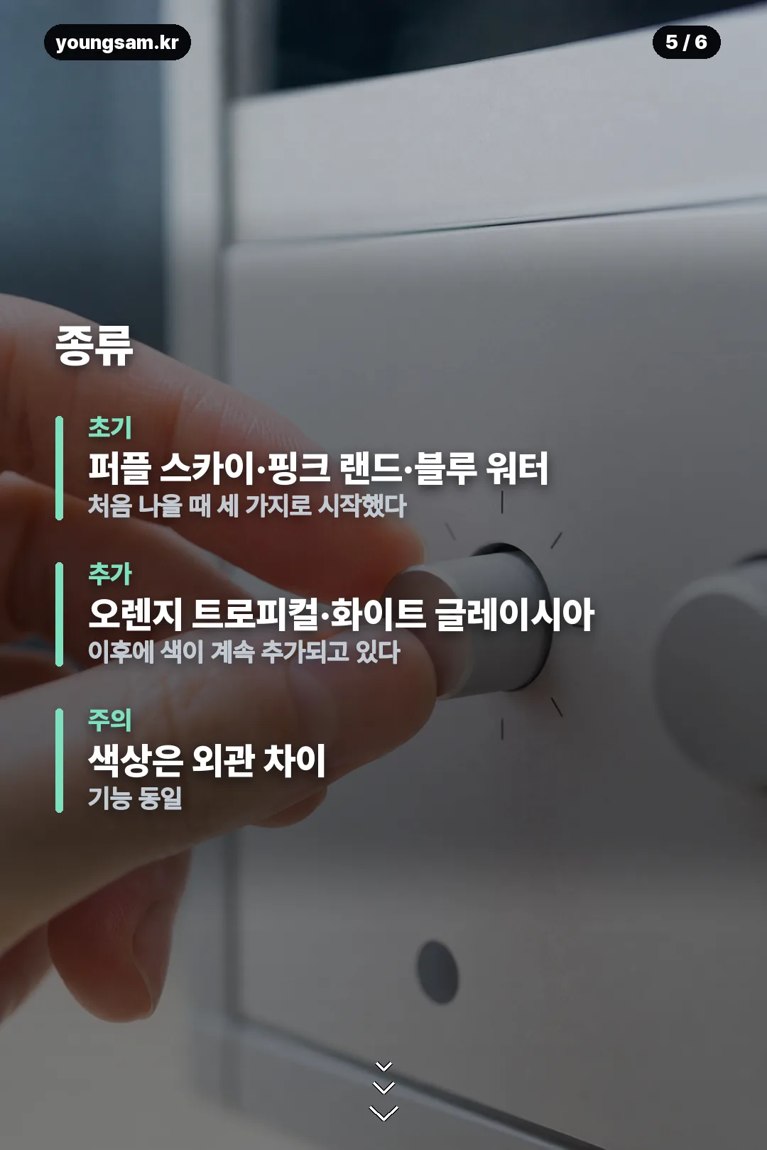 다마고치 파라다이스 기기 정보 카드 5