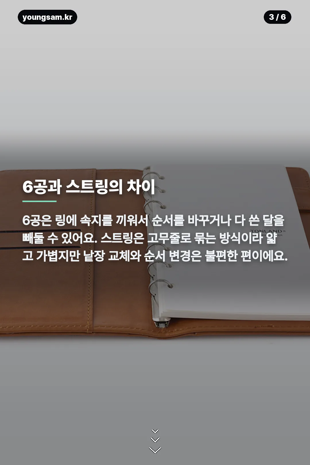 톤랜드 다이어리 카드뉴스 3