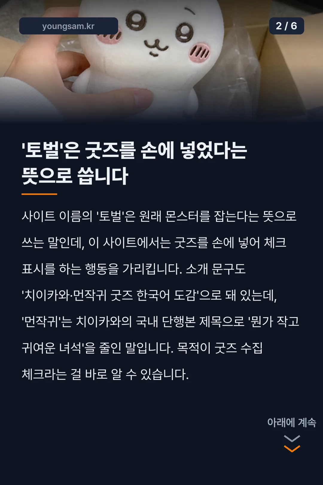 치이카와 토벌수첩 카드뉴스 2